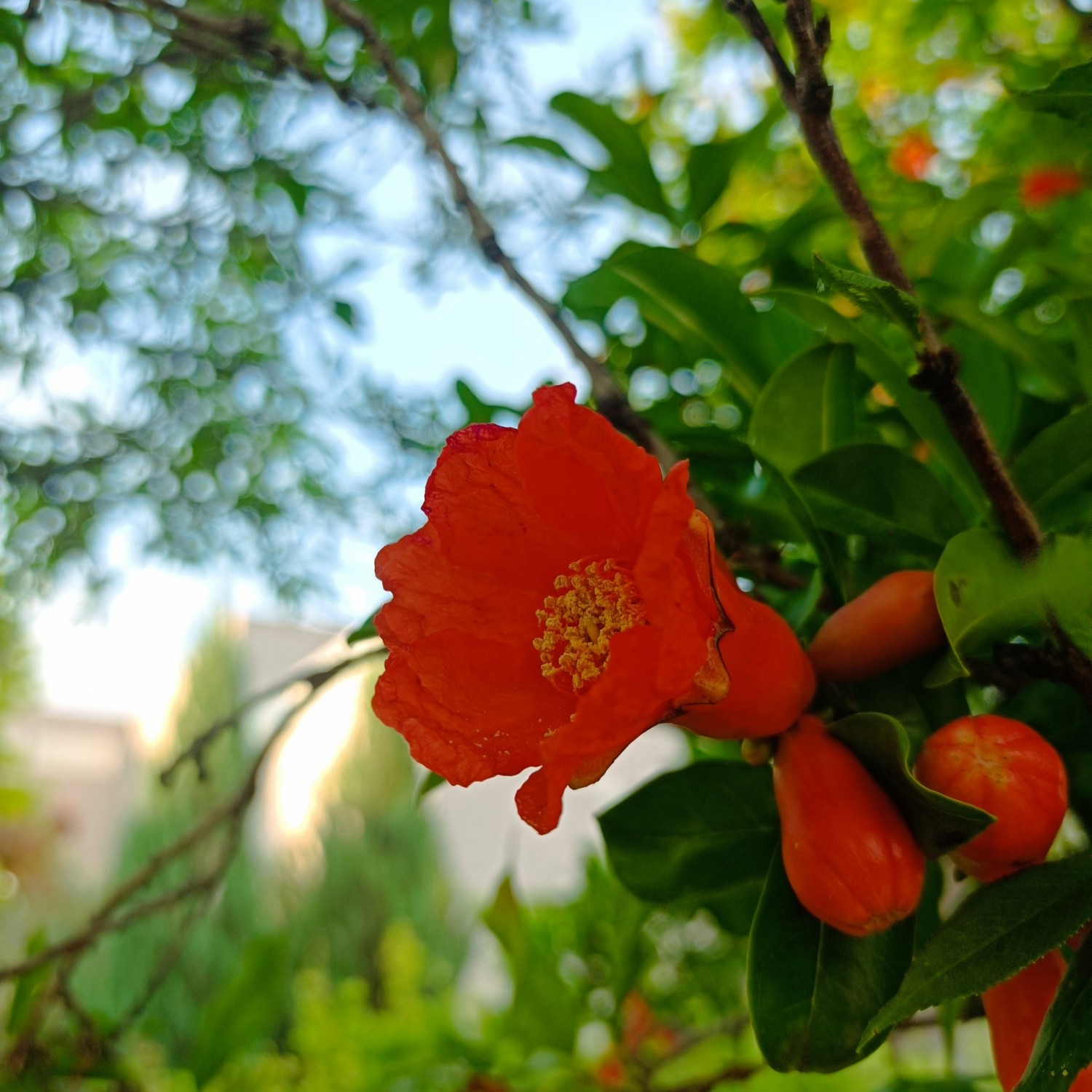 IMG_20250527_174840