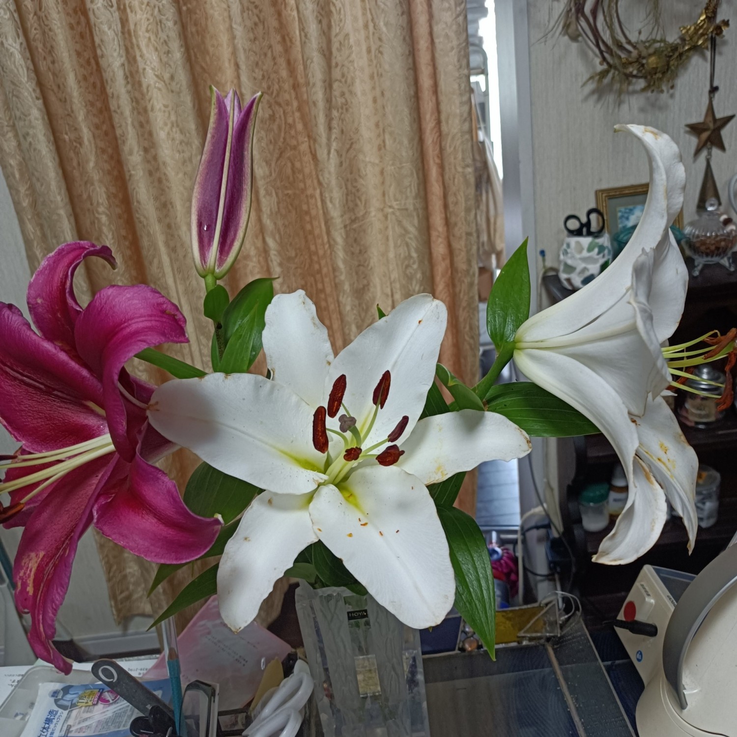 IMG_20250623_153851