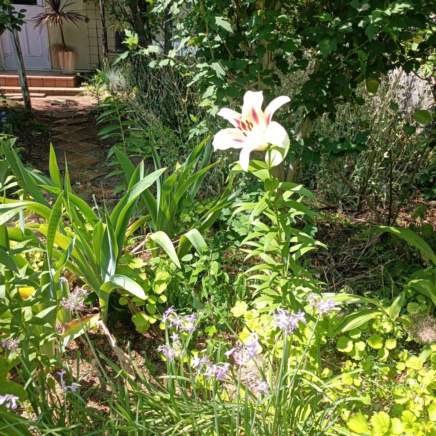 IMG_20250629_095220