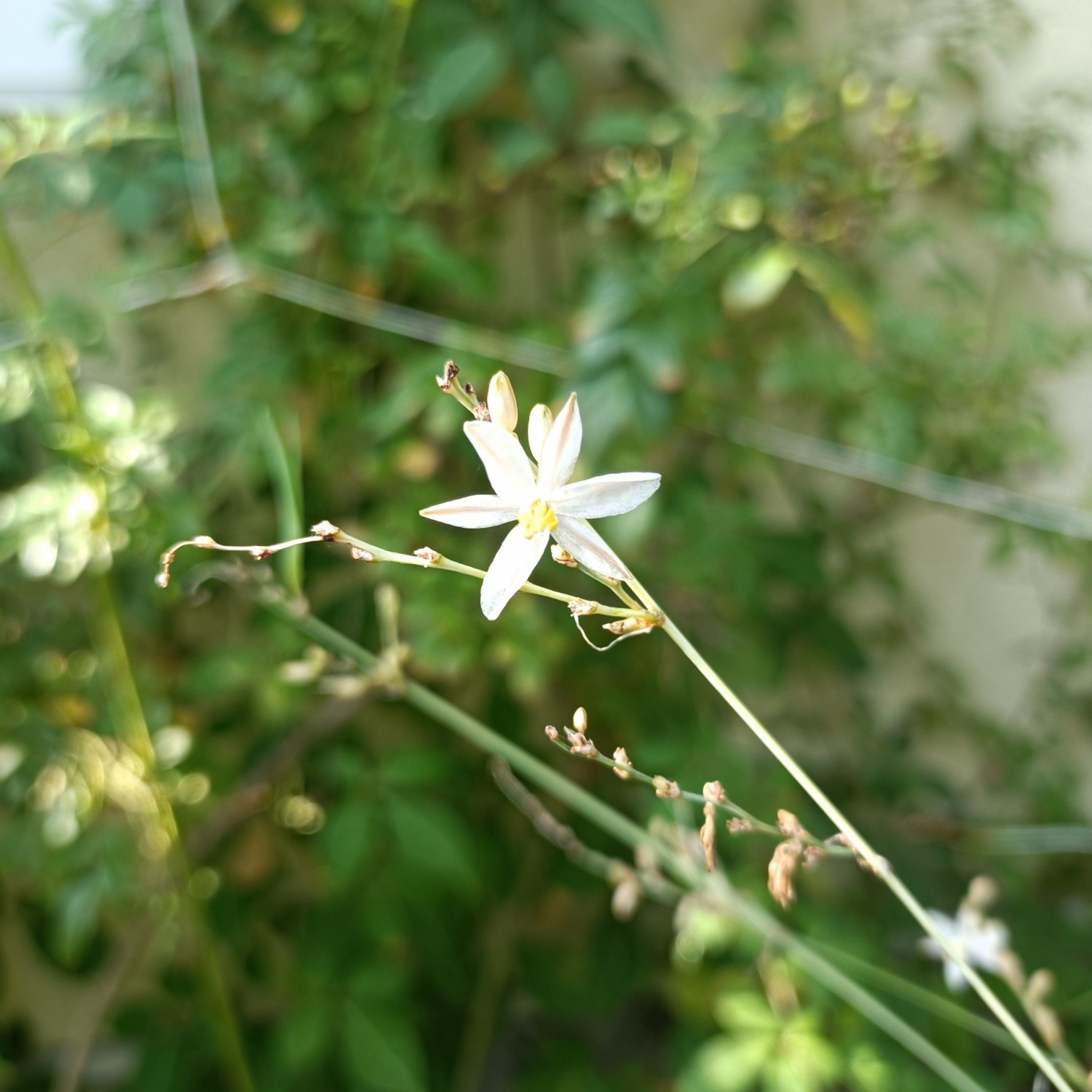 IMG_20250830_080743