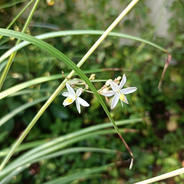 IMG_20250830_080753