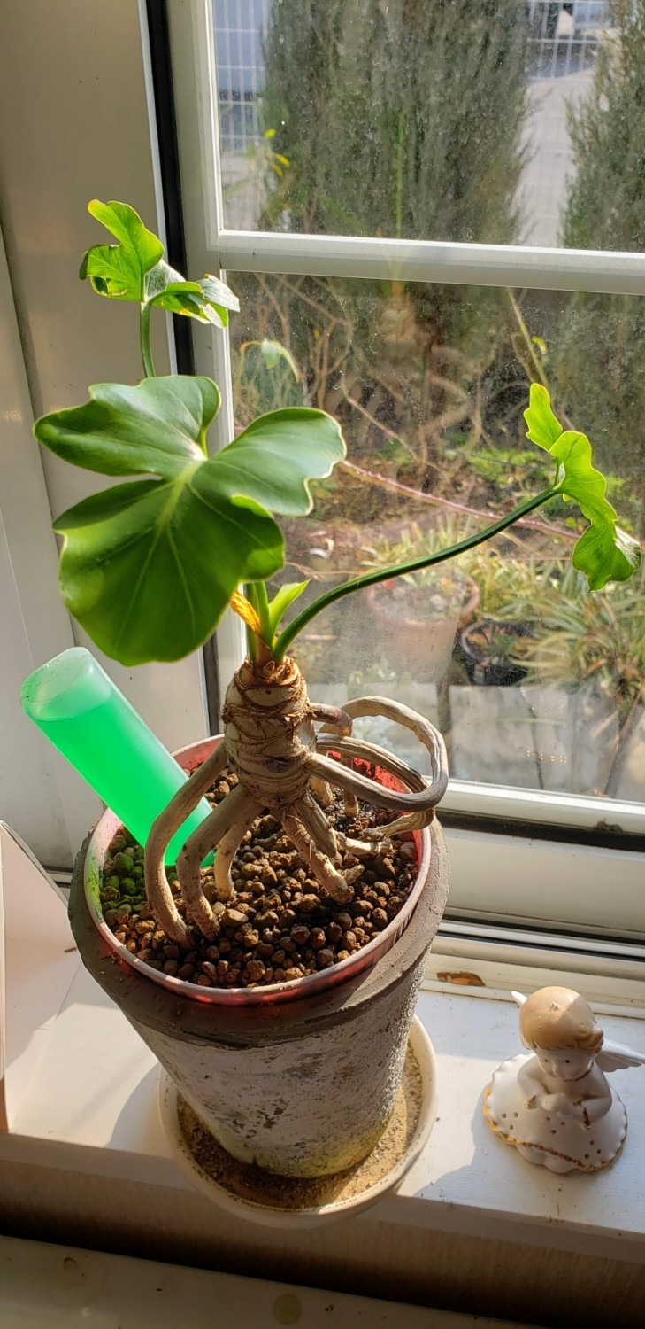 20190301_085825