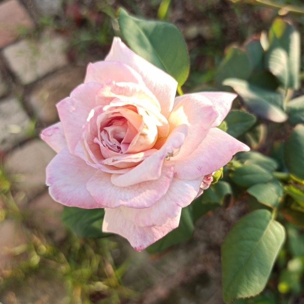 IMG_20250907_064012