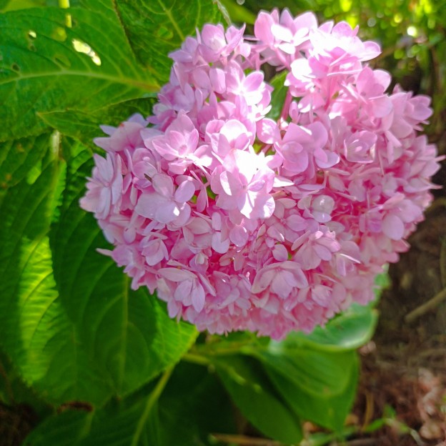 IMG_20250924_100748