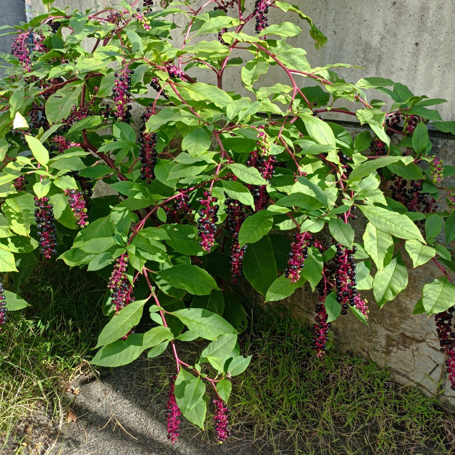 IMG_20251017_085014