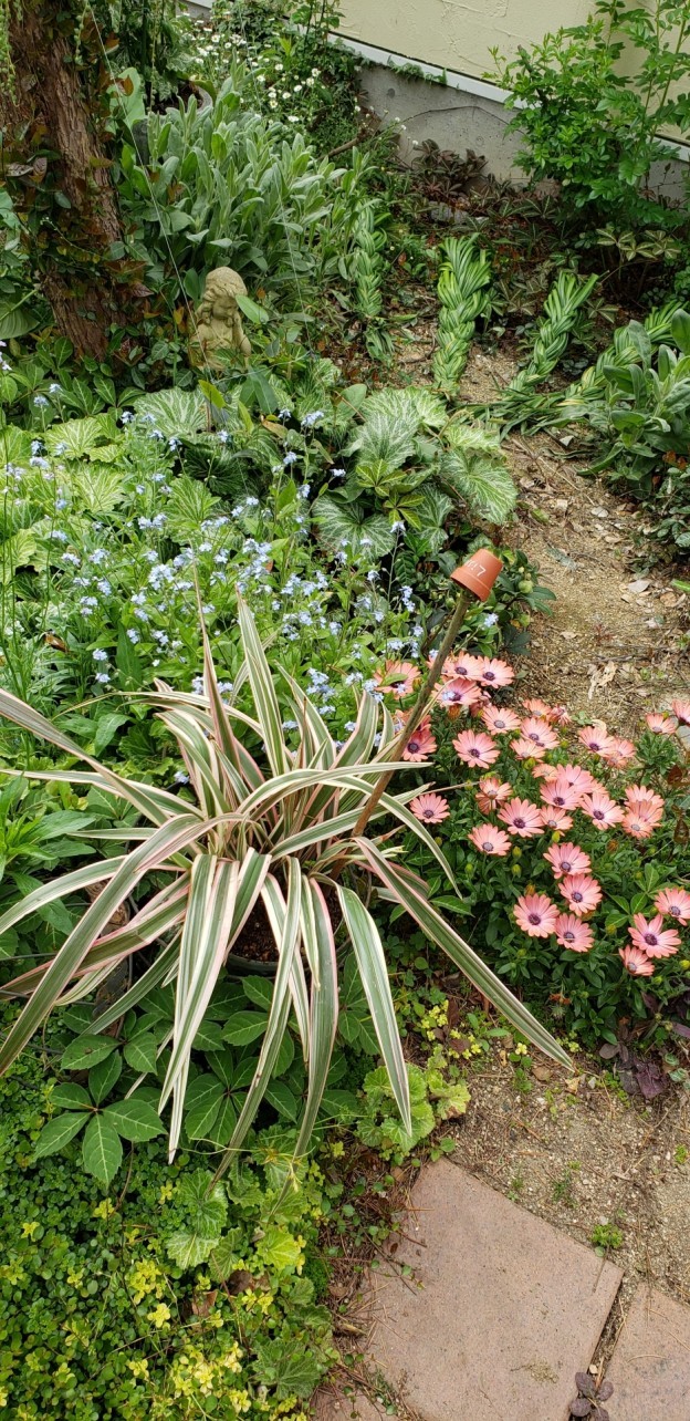 20190428_092503-e1556540569531-624x1284