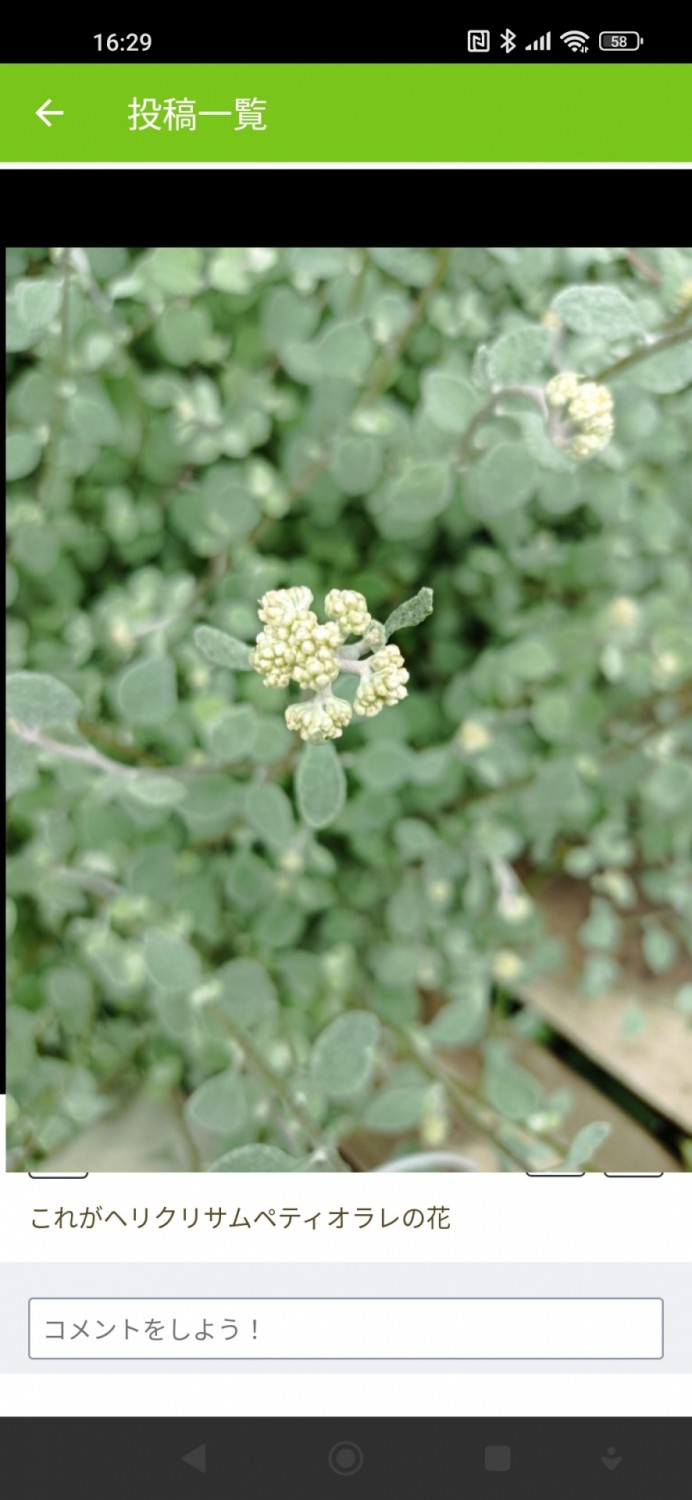 Screenshot_2026-01-18-16-29-57-032_jp.co.aainc.greensnap