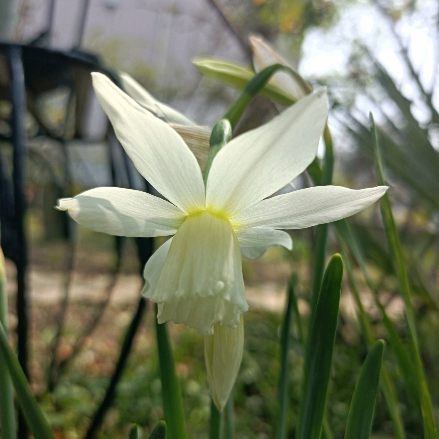 geensnap_20260330_215706077