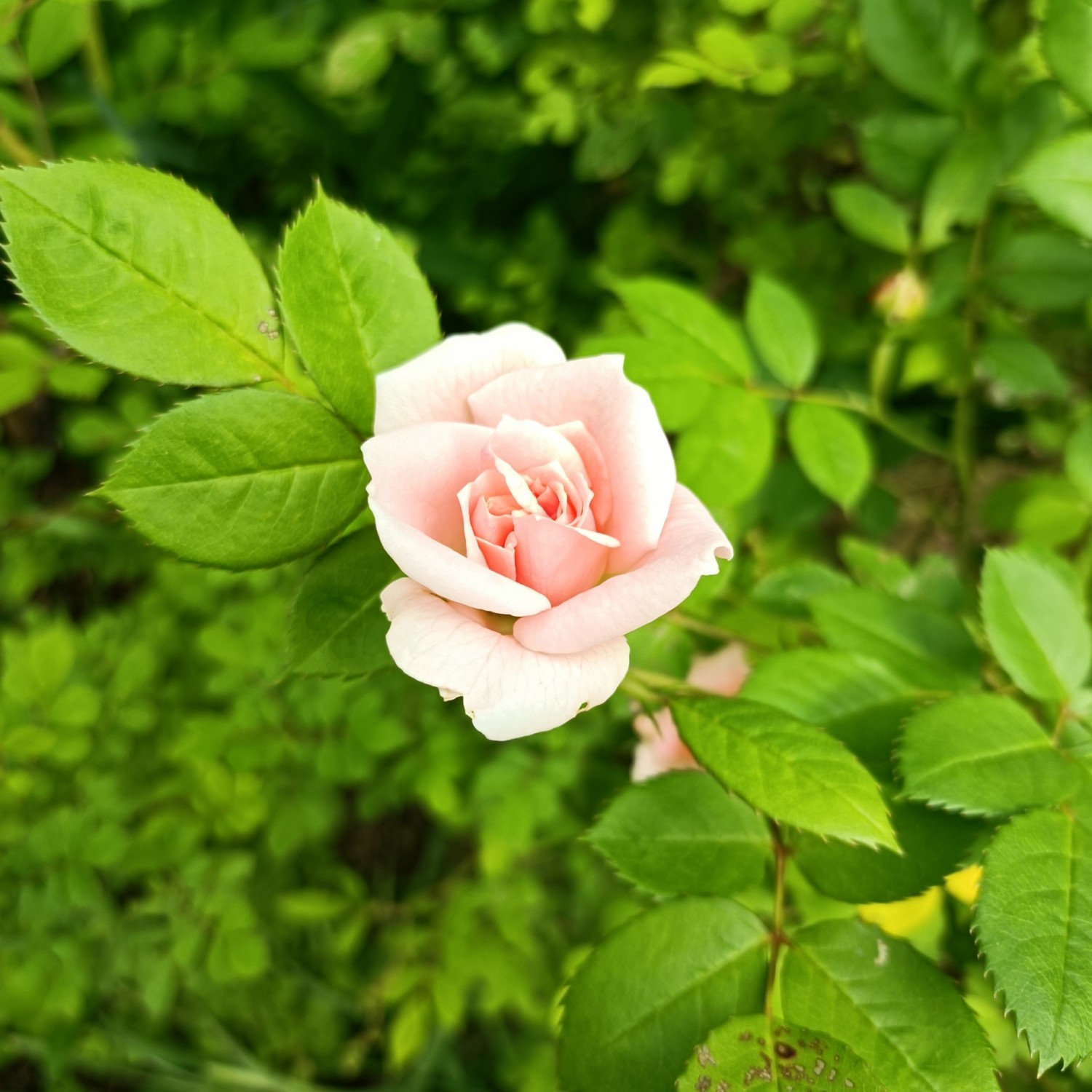 IMG_20260428_134732