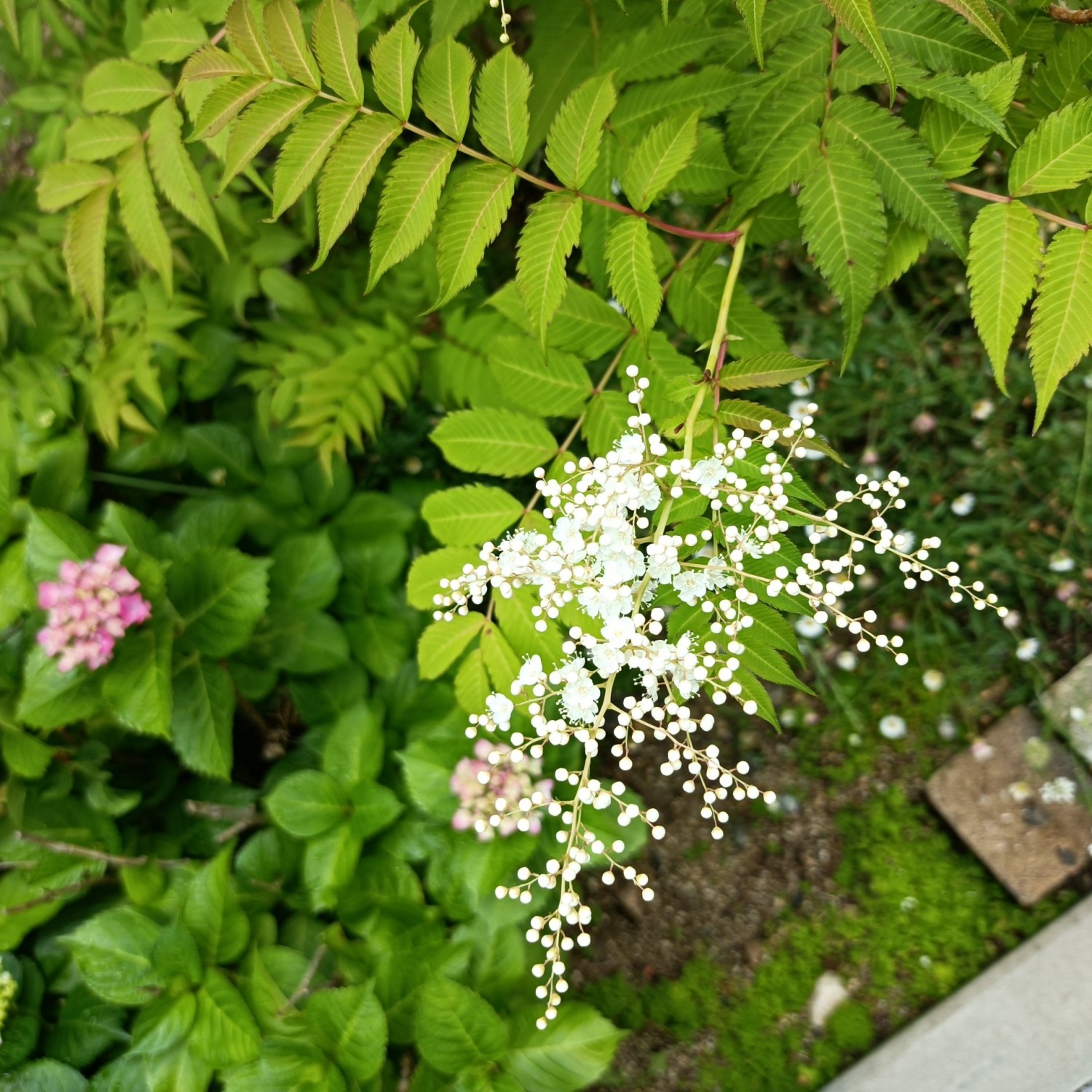 IMG_20260528_095600