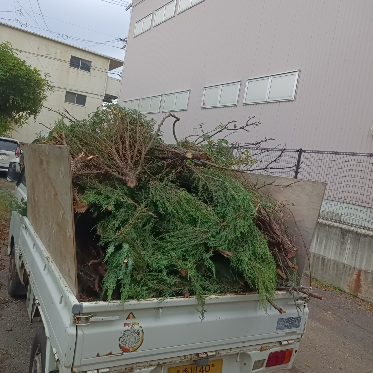 IMG_20260606_092900