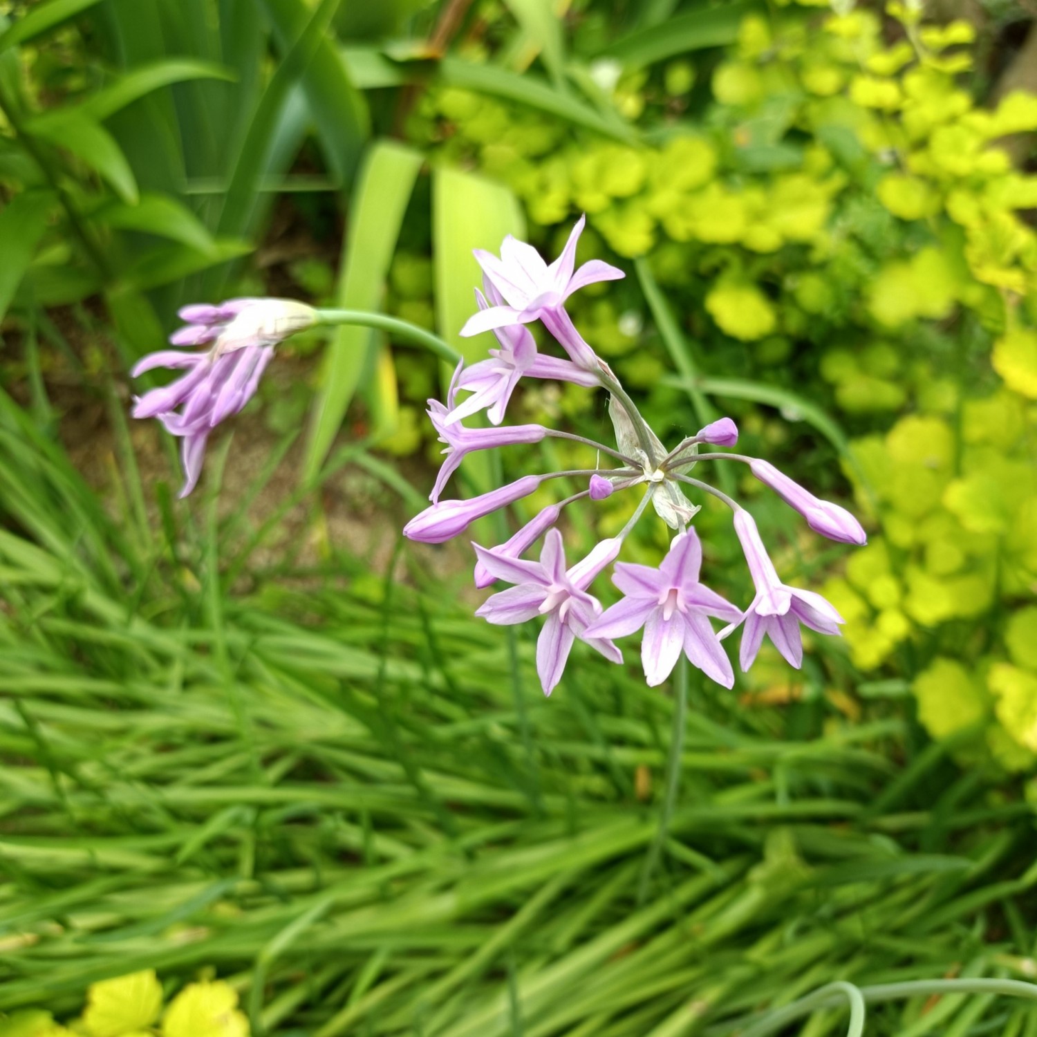 IMG_20260615_103736