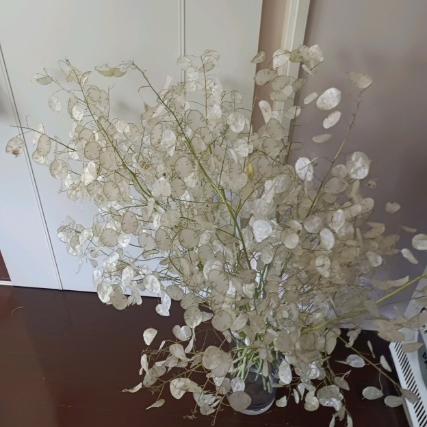 geensnap_20260618_165600085