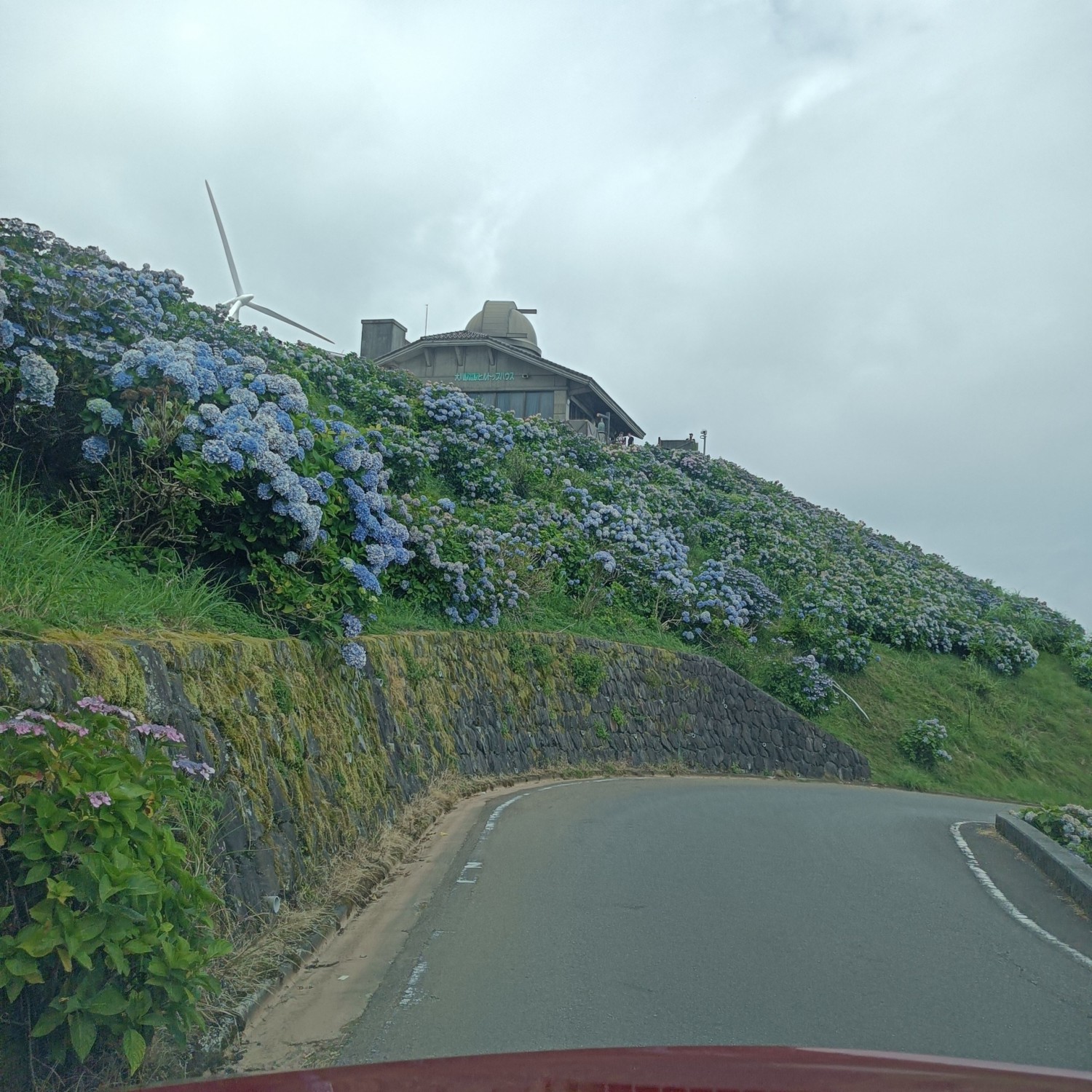 IMG_20260720_104142