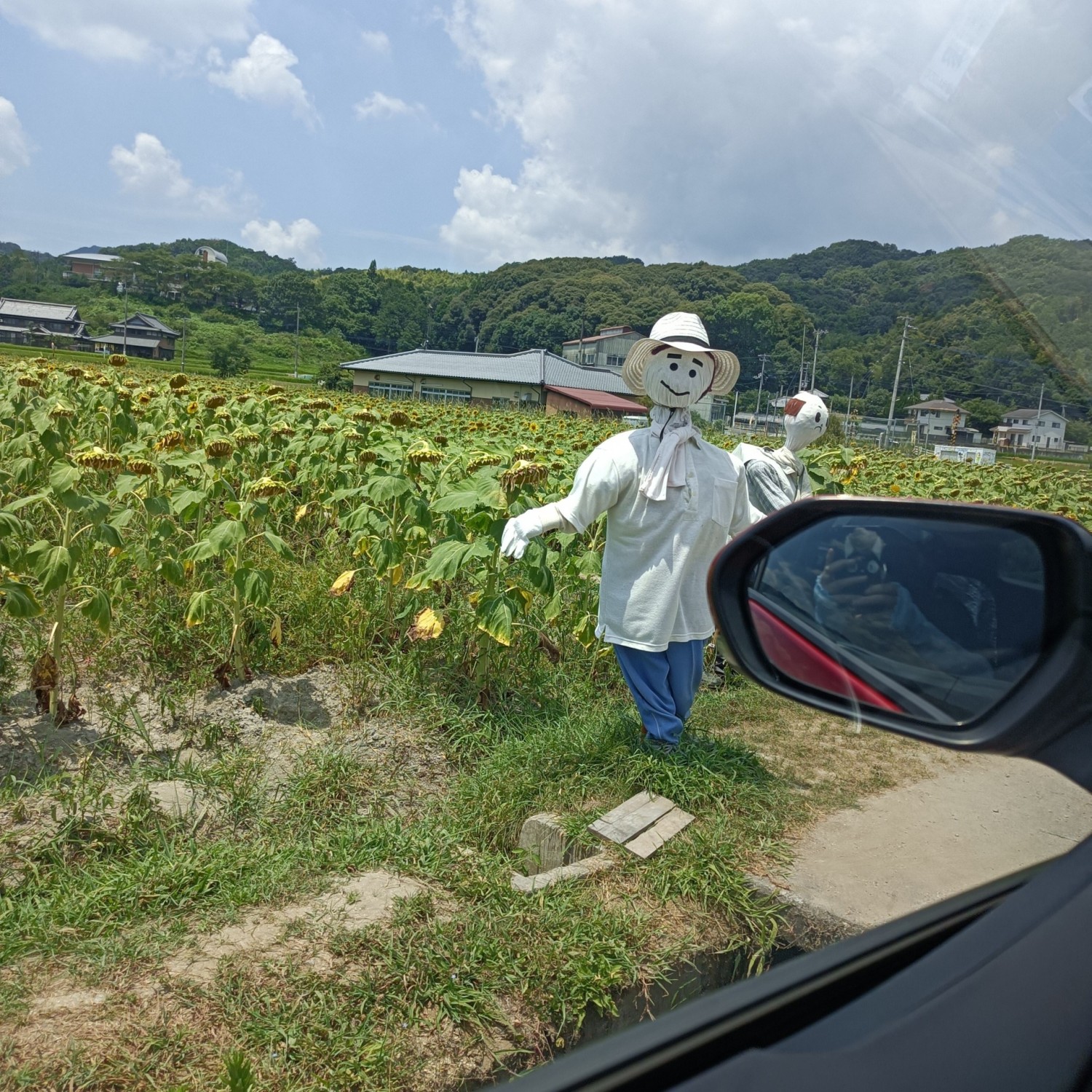 IMG_20260727_120854