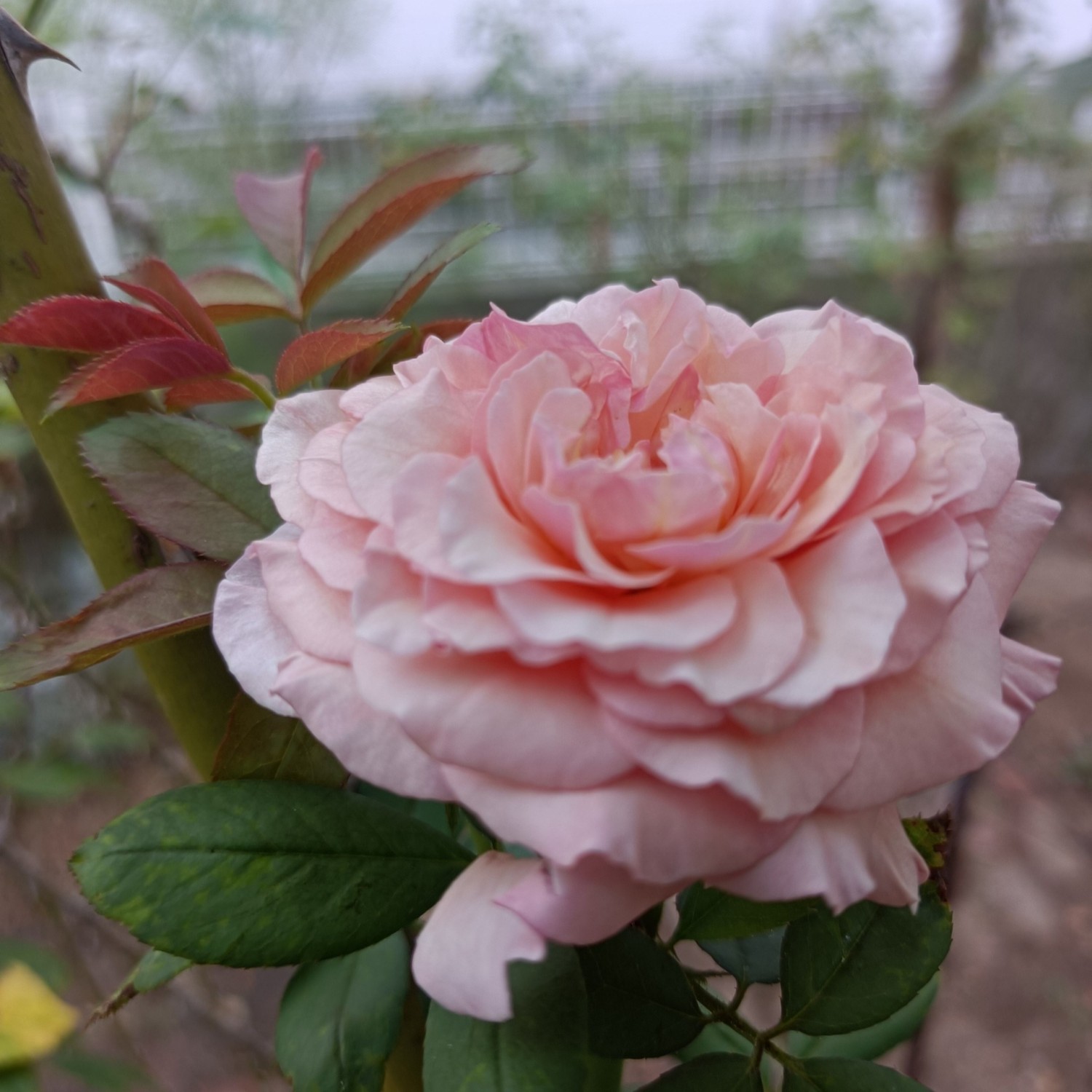 IMG_20260902_080449