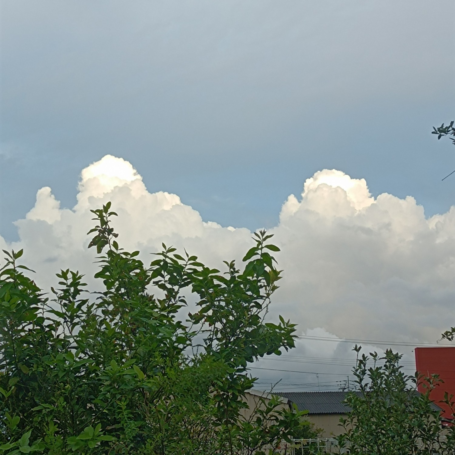 IMG_20260914_174852