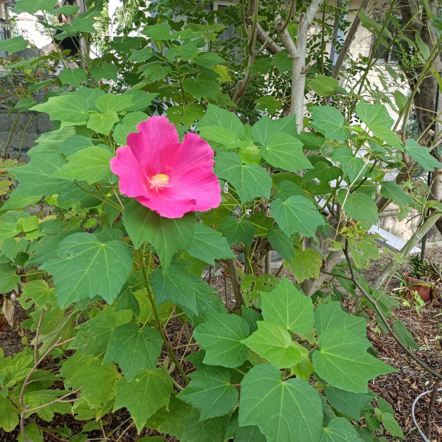 IMG_20260924_083449