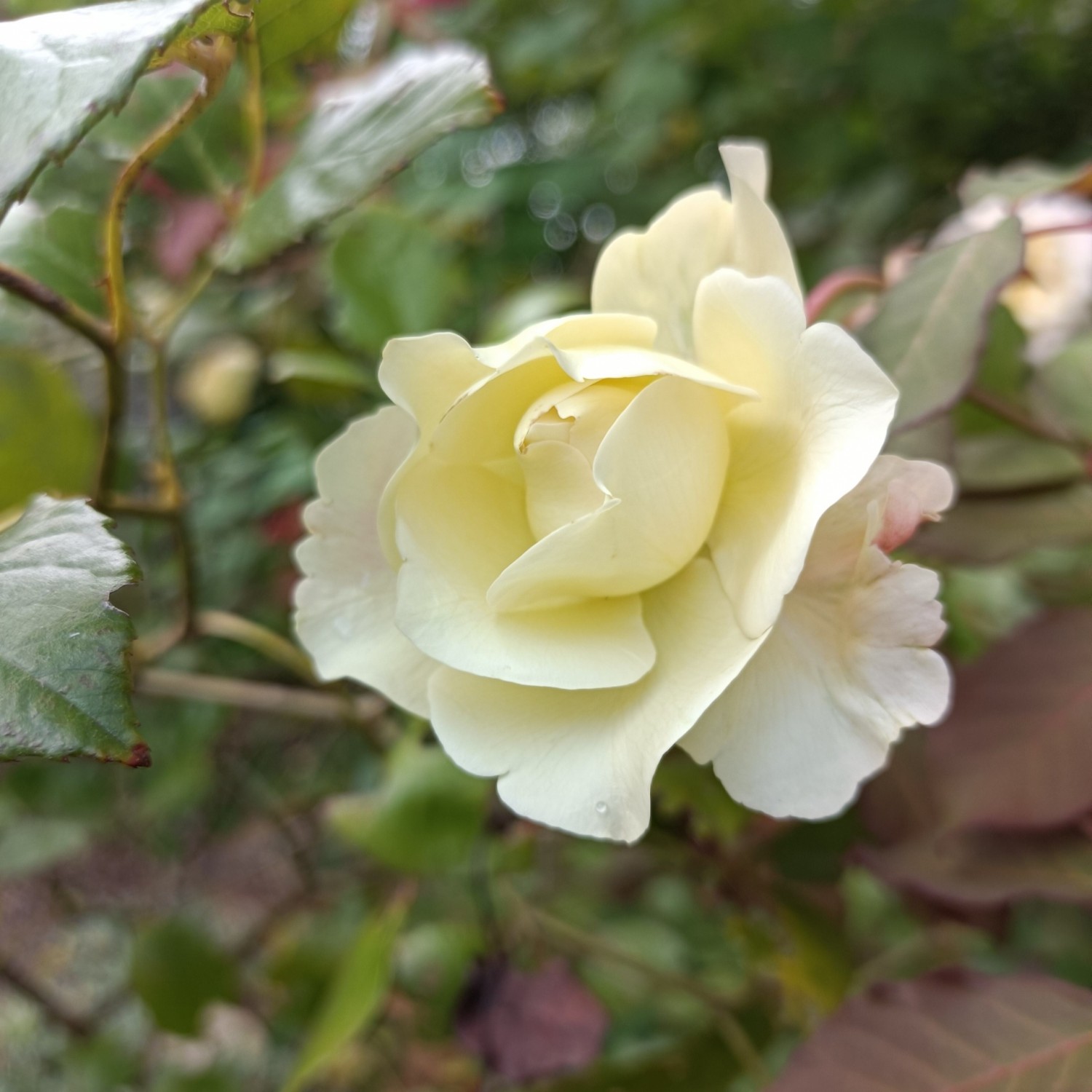 IMG_20261022_084805