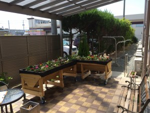 結幸園様　ベジトラグセット