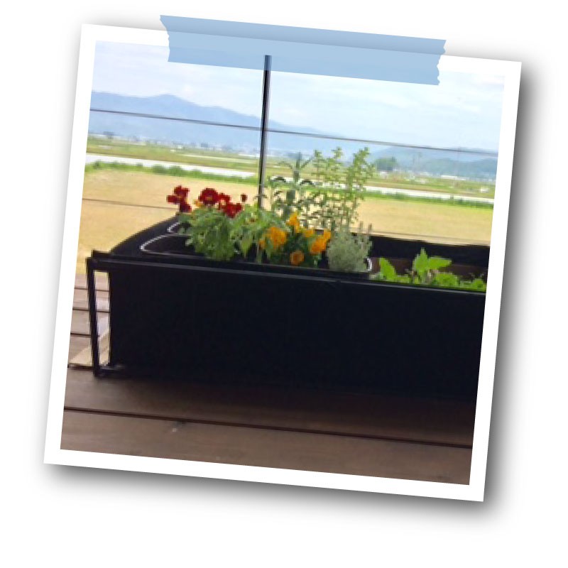写真紹介 フェルトプランターでデッキに花壇を 青山ガーデンの庭くらし