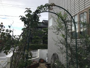 写真 2017-09-12 16 29 02
