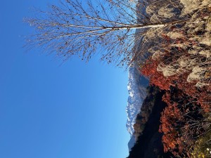 午前峰