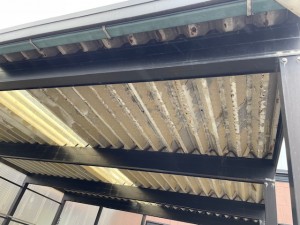 image10 (9)