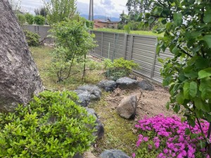 image5 (55)