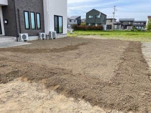 image5 (59)