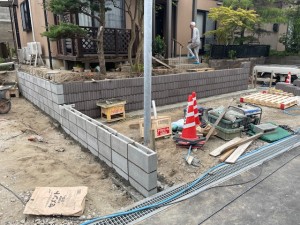 image6 (47)