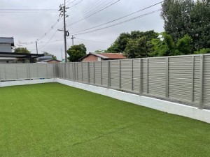 image8 (20)