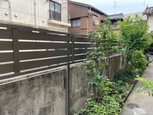 image3 (89)