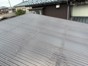 image4 (79)