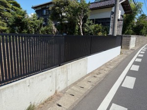 image5 (66)
