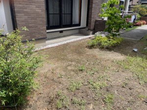 image6 (56)