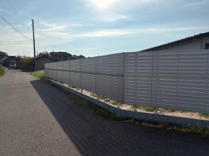image4 (86)
