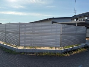 image6 (57)