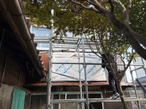 image3 - 2025-11-01T091922.901