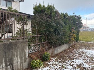 image2 - 2025-12-07T145829.472