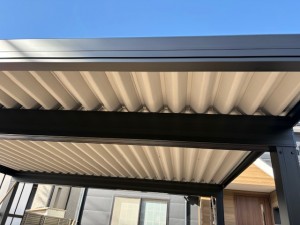 image2 - 2026-02-23T100121.349