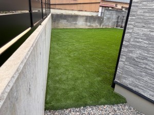 image1 - 2026-03-08T175112.756