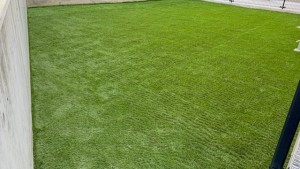 image2 - 2026-03-08T175125.540