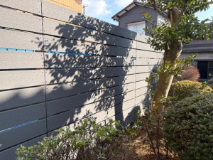 image3 - 2026-03-21T111332.206