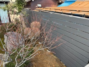 image4 - 2026-03-21T111342.102