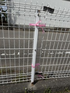 image9 (29)