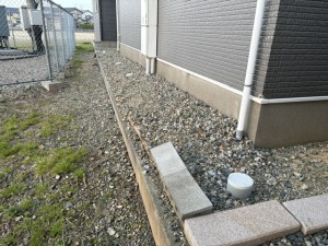 image11 (14)