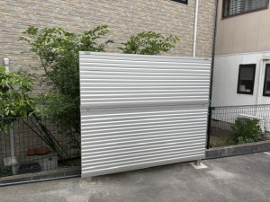 image7 (65)