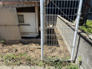 image11 (15)