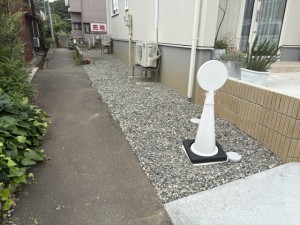 image6 (84)